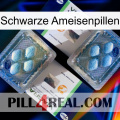 Black Ant Pills viagra5